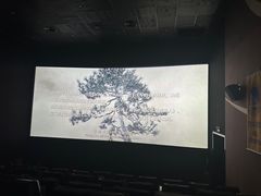 -悦江新远影城IMAX