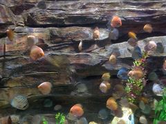 景点-多彩贵州城极地海洋世界