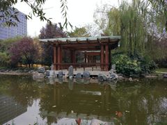 -木塔寺遗址生态公园