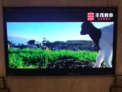 -丰茂烤串(公园店)