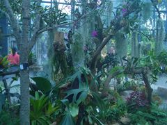 -东莞植物园