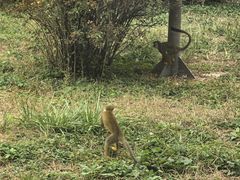 -石家庄市动物园