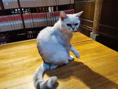 -普洱茶府(博乐广场店)