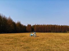 -黄海国家森林公园