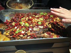 -辣猫龙虾(马泉营店)