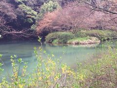 iphone_upload_pic-九溪烟树