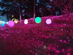 -青龙湖公园