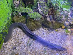 -上海海洋水族馆