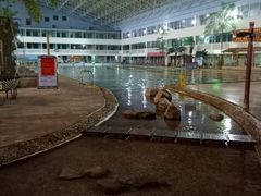 -龙脉温泉室内游泳馆