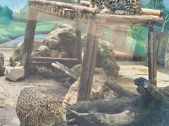 -昆明动物园