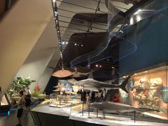 -贝林大翅鲸简餐厅(国家海洋博物馆店)