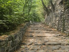 -阳台山自然风景区