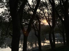-同里国家湿地公园