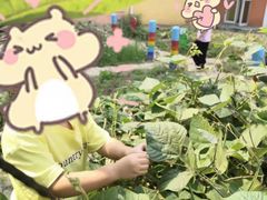 -爱彼格林珑悦幼儿园