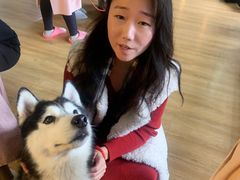 -Husky Go! 哈士奇体验馆·宠物咖啡厅狗咖