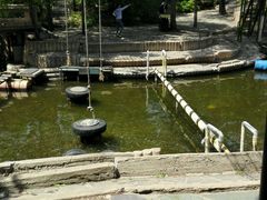 android_upload_pic-沈阳植物园