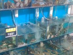 -天云活海鲜家菜馆·海鲜大咖(栈桥店)