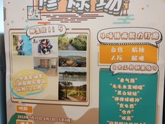 -大果情商(亲藤店)