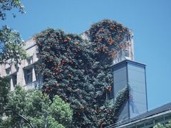 -杭州师范大学附属医院(杭州总院)
