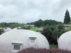 -永泰中国云顶