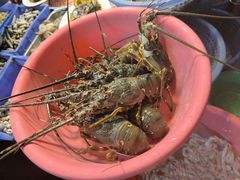 -老三鱼仔店