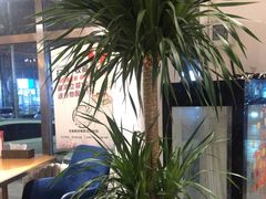 -花舍·新派粤菜·西餐·下午茶(亚运村·鸟巢店)