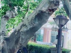 -南京维景国际大酒店(南京博物院店)