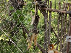 -哈尔滨北方森林动物园