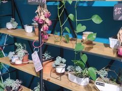 -九府羊鲜羊火锅·烧烤(海那城店)