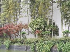 -长沙简牍博物馆