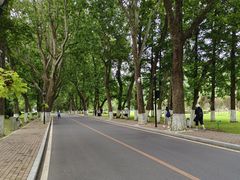 -棒棰岛宾馆景区