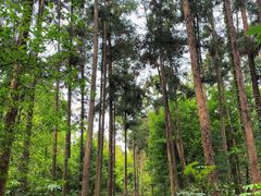 -狼山风景名胜区