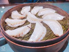 传统蒸饺-松针蔡记蒸饺(花园路店)