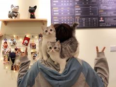 -小尾巴宠物店(万科·金域华庭店)