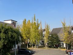 -太阳岛度假酒店