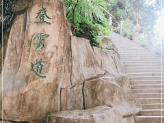 -梧桐山风景名胜区