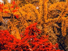 -陆家嘴空中步行连廊