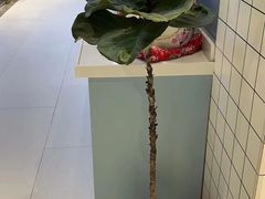 -柏萃动物医院·骨科·牙科