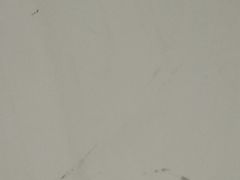 -全聚德烤鸭店(和平路店)