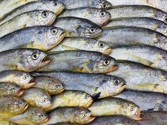 -合家小菜餐馆(新诚花苑店)