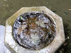 -老济南·地道济南菜(大明湖店)