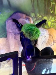 -酷嗒动物文化乐园(cutezoo西溪乐天城店)