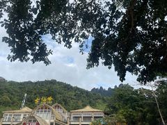 -七仙岭温泉国家森林公园