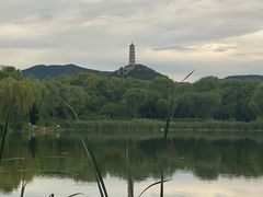 -北坞公园