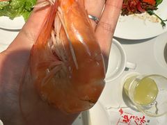 -映像威海·威海宴(威高广场店)