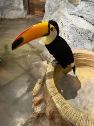 -Zoolung Zoolung动物主题公园(海信广场店)