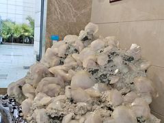 -湖南省地质博物馆