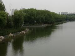 -大兴滨河森林公园