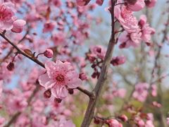 -紫竹院公园-东门停车场