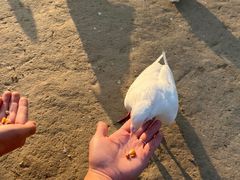 -南通洲际绿博园